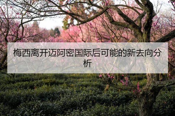 梅西离开迈阿密国际后可能的新去向分析